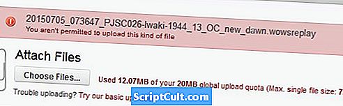 .WOWSREPLAY Extension de fichier