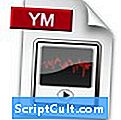 .YM File Extension
