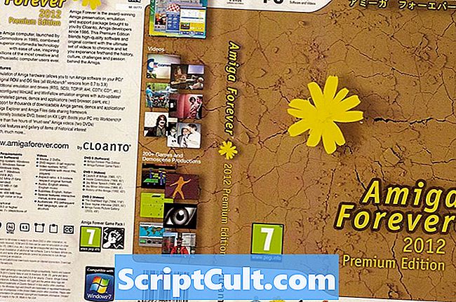 Cloanto Amiga för evigt - Programvara
